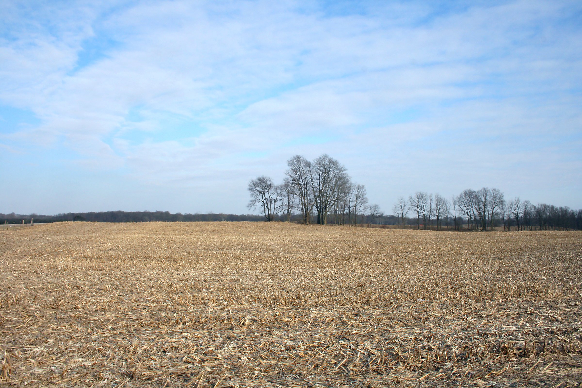 Property photo 1 - REAL ESTATE AUCTION - 84.5+/- ACRES IN 4 TRACTS IN WHITLEY COUNTY, INDIANA
